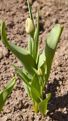 Similar image 647185