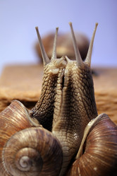 Similar image 647235