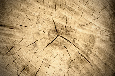 Similar image 647338