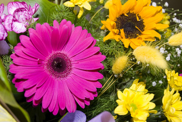 Similar image 647351