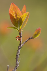 Similar image 647352