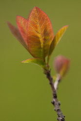 Similar image 647353