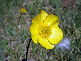 Similar image 647354