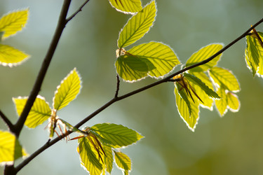 Similar image 647357