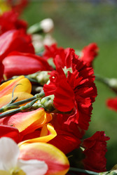 Similar image 647359