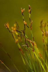 Similar image 647379