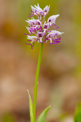 Similar image 647381