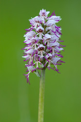 Similar image 647386