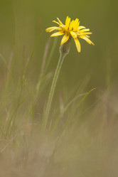 Similar image 647387