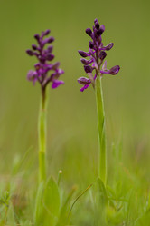 Similar image 647390