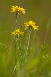 Similar image 647391