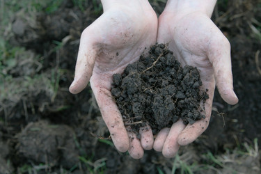 Similar image 647473