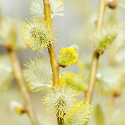 Similar image 647475