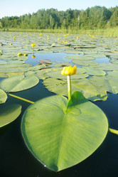 Similar image 647479