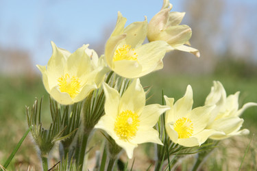 Similar image 647484