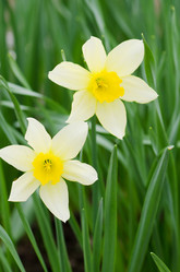 Similar image 647486