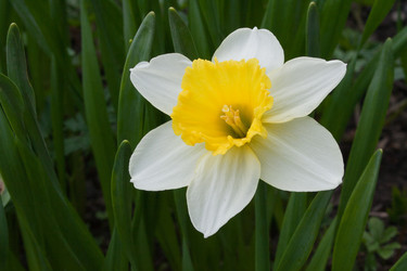 Similar image 647488