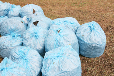 Similar image 647498