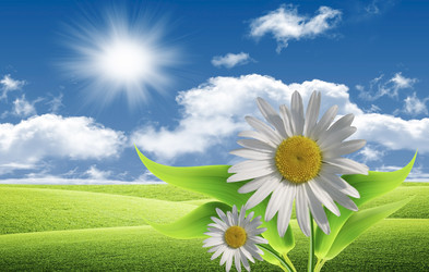 Similar image 647513