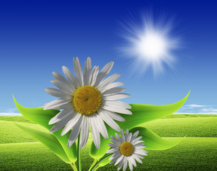 Similar image 647515