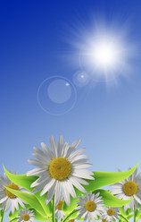 Similar image 647516