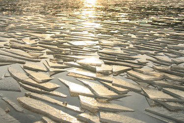 Similar image 647520