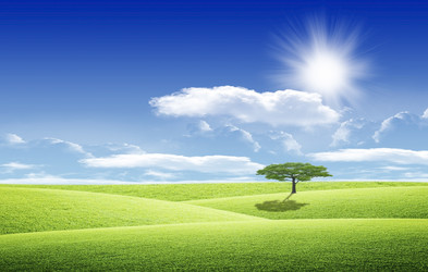 Similar image 647528