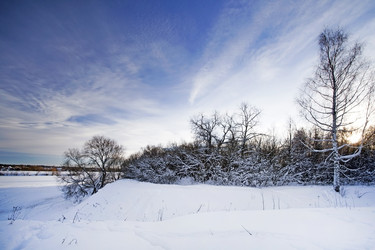 Similar image 647556