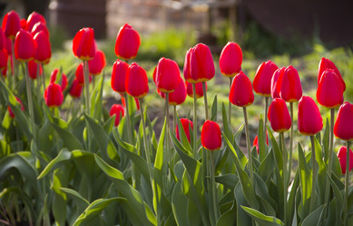 Similar image 647597