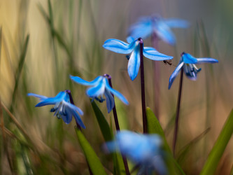 Similar image 647653