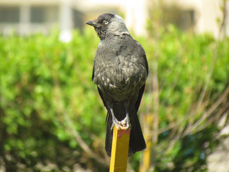 Similar image 647688