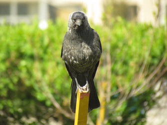 Similar image 647689