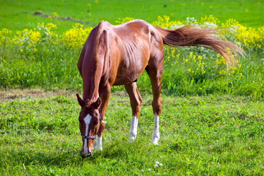 Similar image 647706