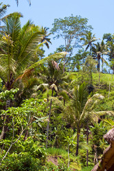 Similar image 647711