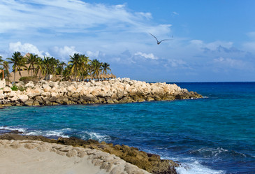 Similar image 647719