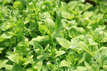 Similar image 647728