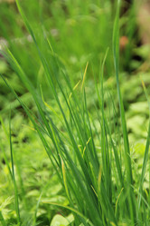 Similar image 647730