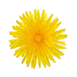 Similar image 647739