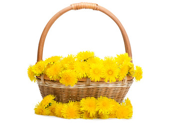 Similar image 647745