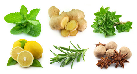 Similar image 647770