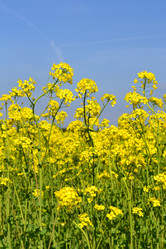 Similar image 647776