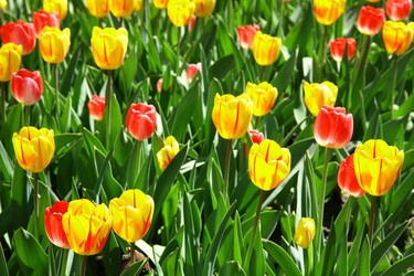 Similar image 647804