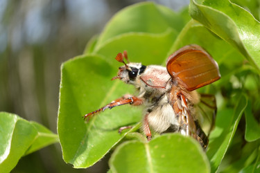 Similar image 647812