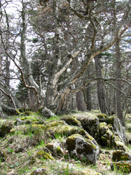 Similar image 647843