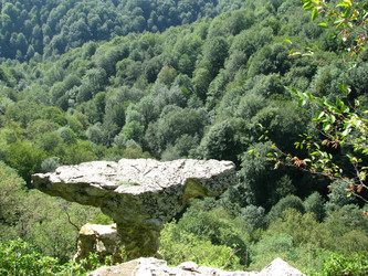 Similar image 647848