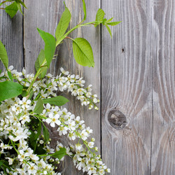 Similar image 647860