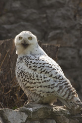 Similar image 647891