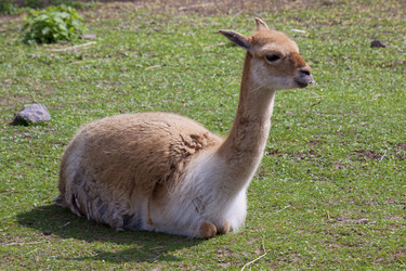 Similar image 647893