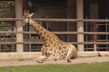 Similar image 647894