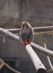 Similar image 647896